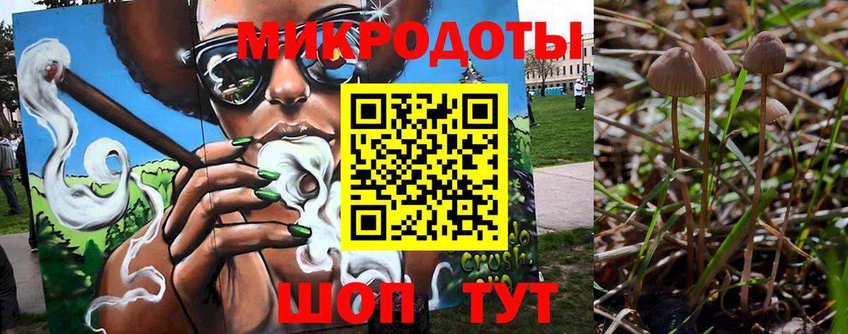 Галлюциногенные грибы мухоморы Сергиев Посад